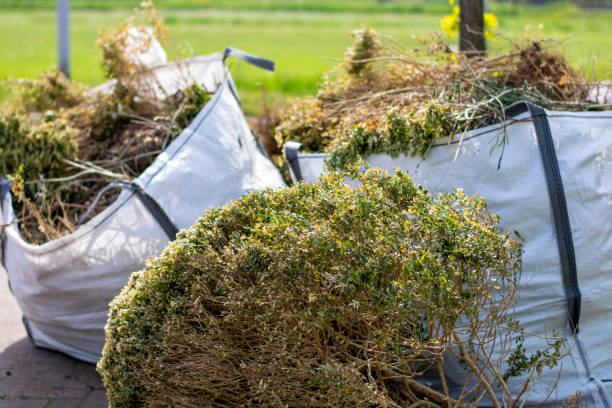 Best Shed Removal  in Larch Y, WA